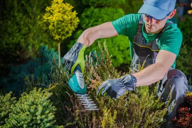 landscaping services St. Johns